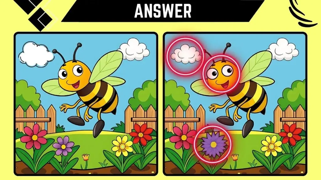 Spot the 3 Differences in this Bee Image in 12 Secs - Solution