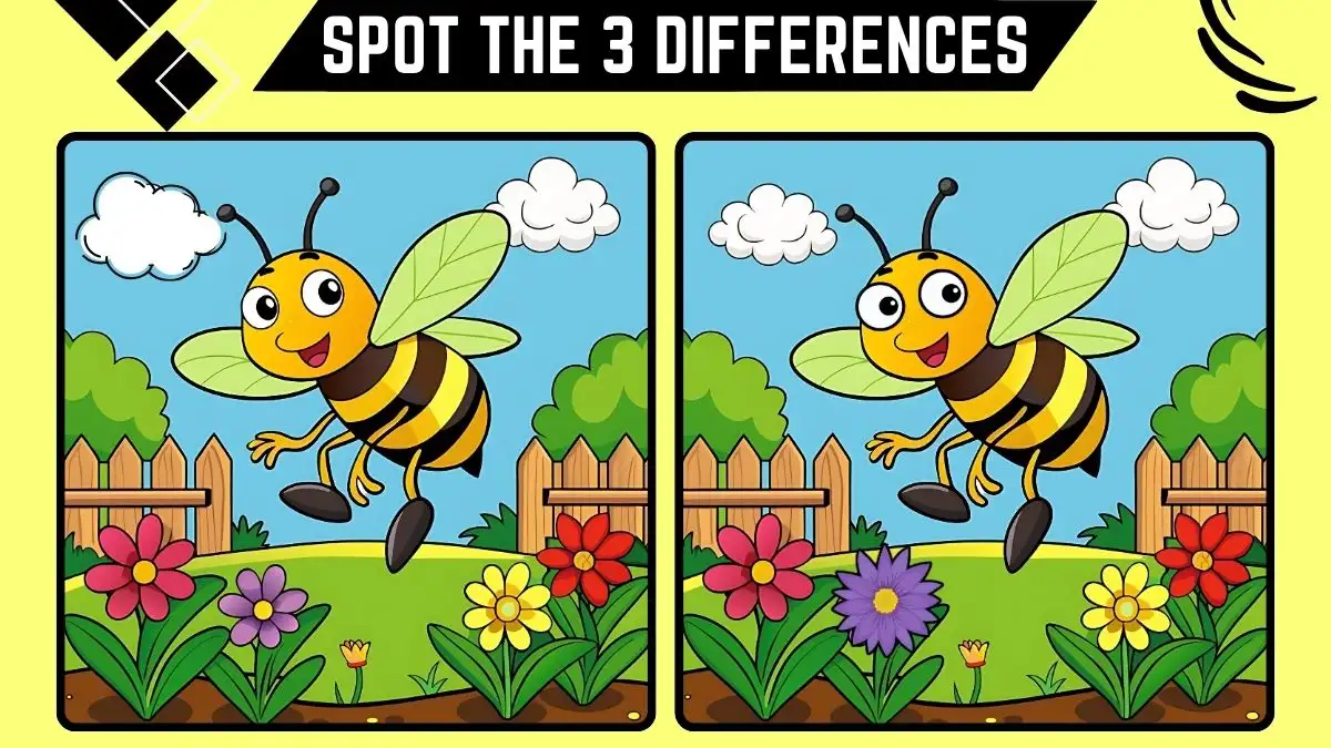 Spot the 3 Differences in this Bee Image in 12 Secs